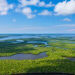 Wetlands USA Florida
